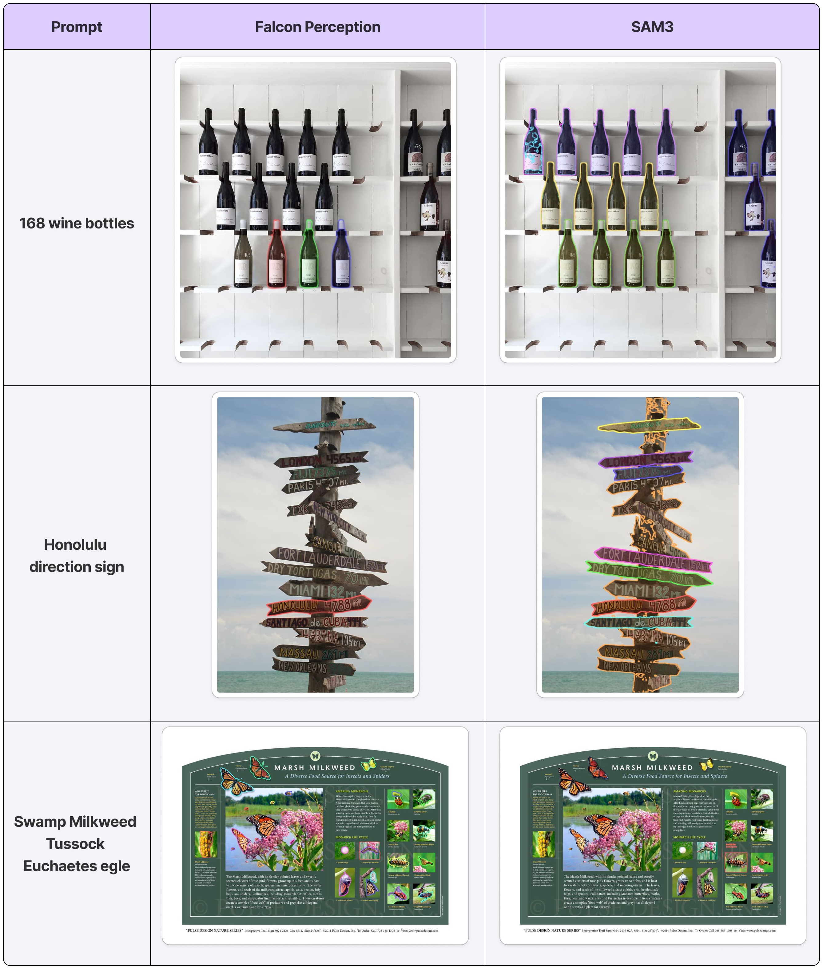 Level 2: OCR-guided identification — Falcon Perception vs SAM 3