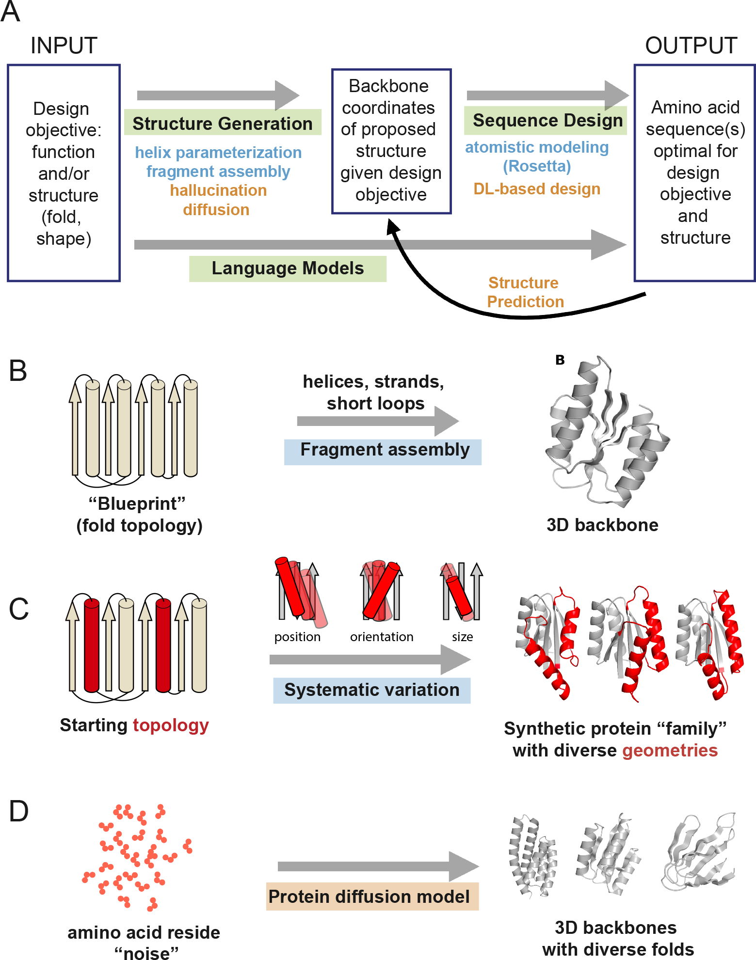 The two-step protein design paradigm: generate backbone structure, then optimize sequence