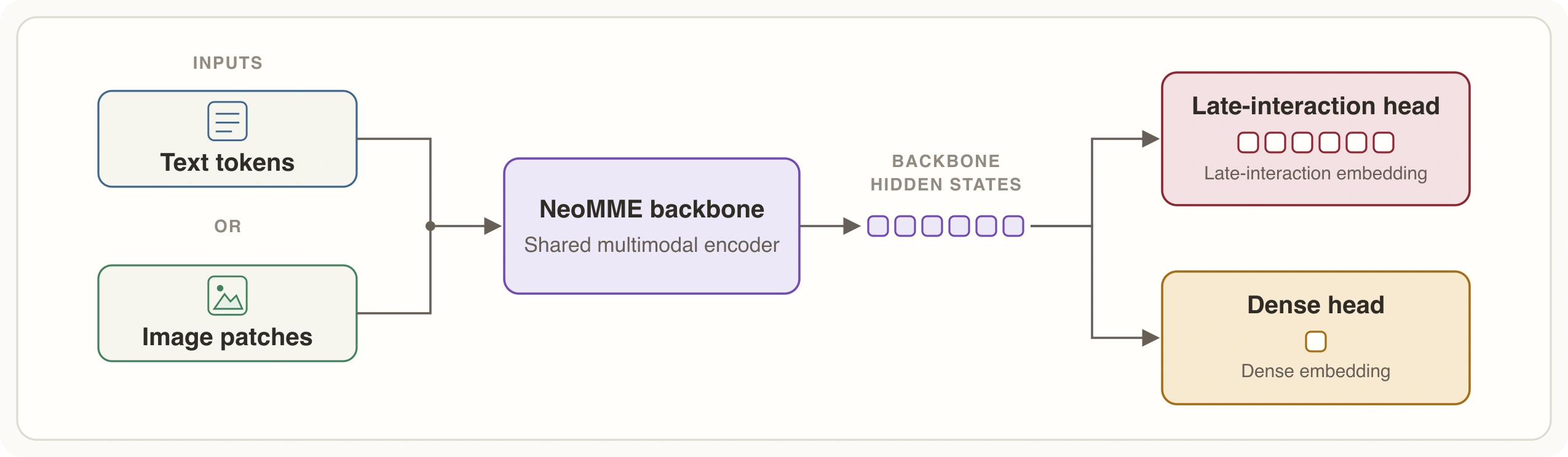 Late-interaction and dense retrieval heads for NeoMME